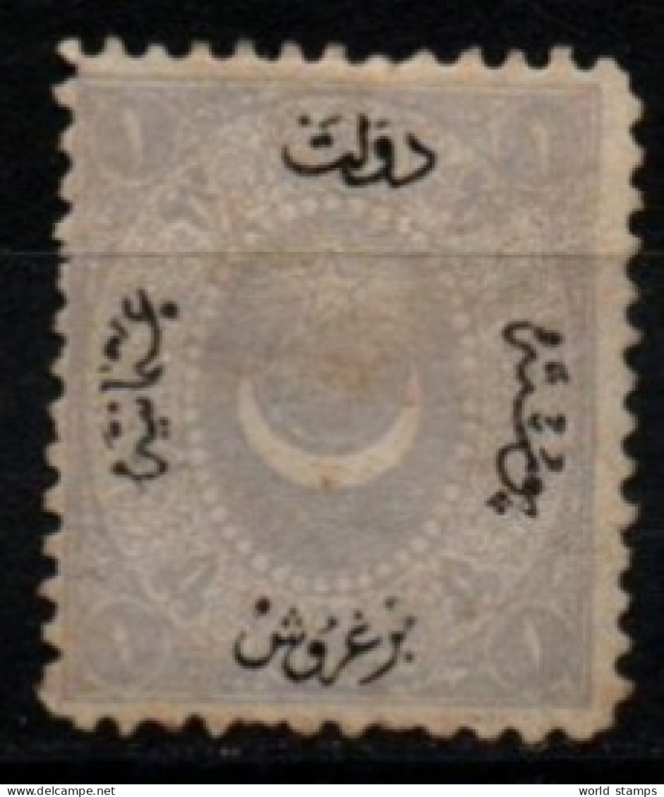 TURQUIE 1867 SANS GOMME - Nuevos