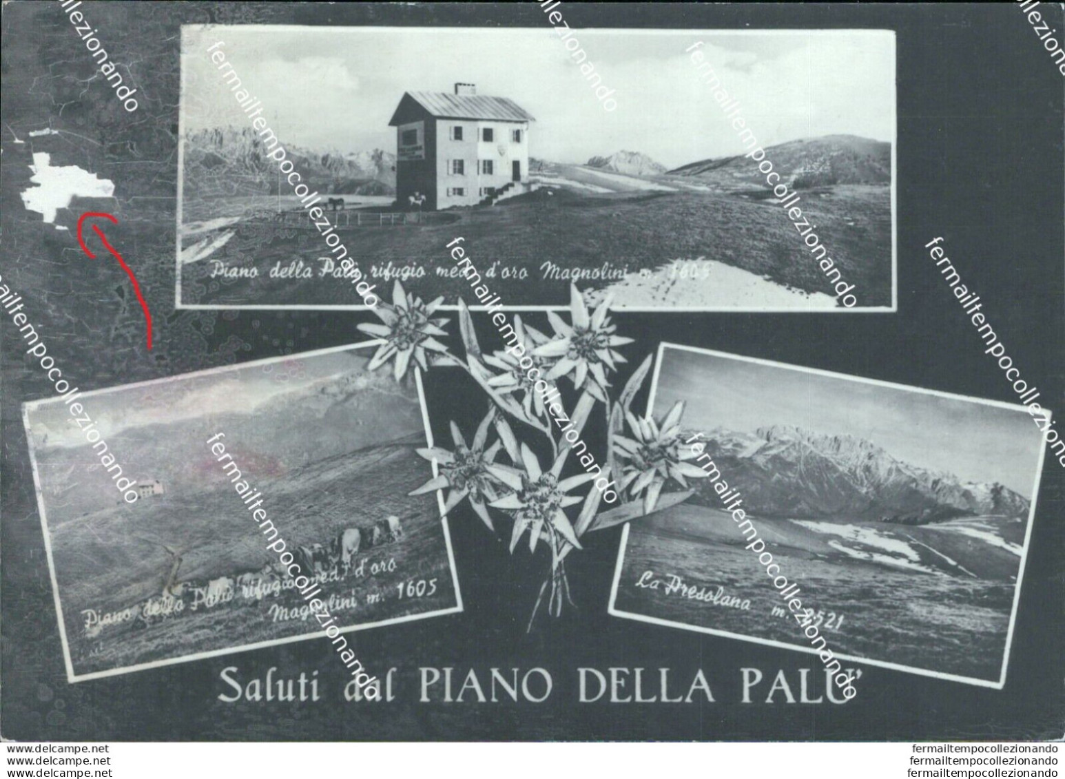 Bs343 Cartolina Saluti Dal Piano Della Palu'  Bergamo Lombardia - Bergamo