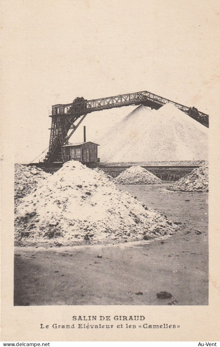 13 SALINS DE GIRAUD Le Grand Elevateur Et Les Canelles - Sonstige & Ohne Zuordnung