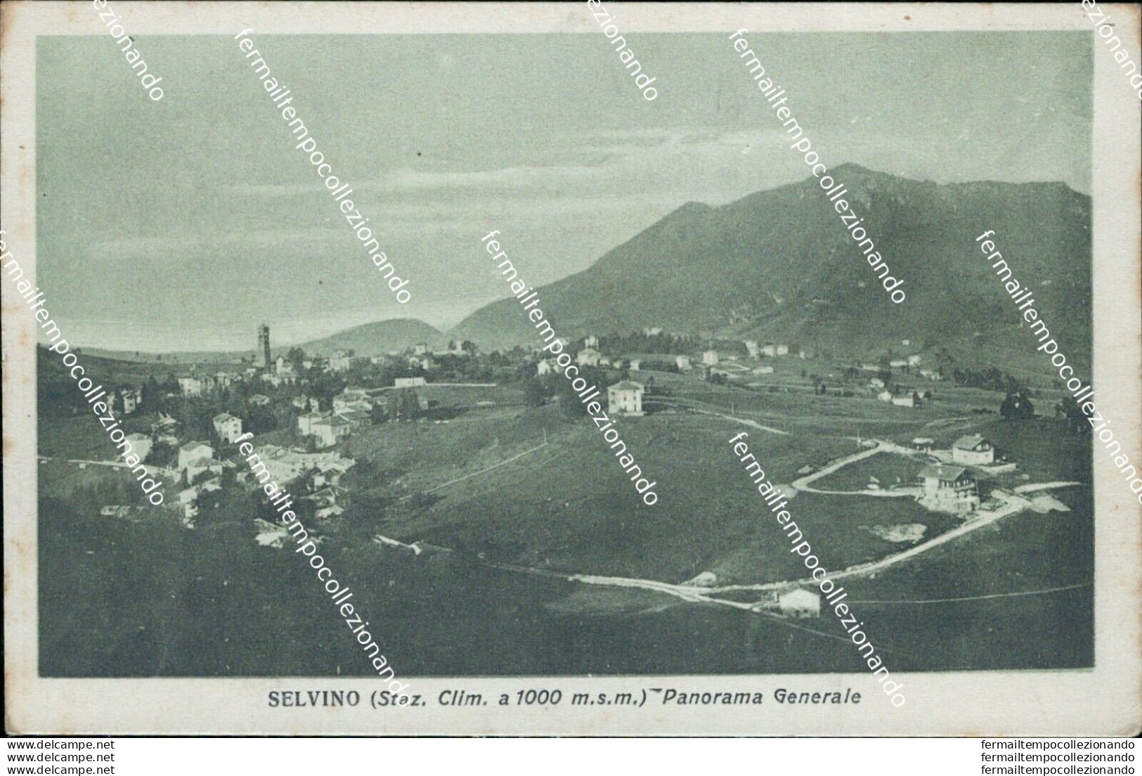 Bs317 Cartolina Selvino Panorama Generale Provincia Di Bergamo Lombardia - Bergamo