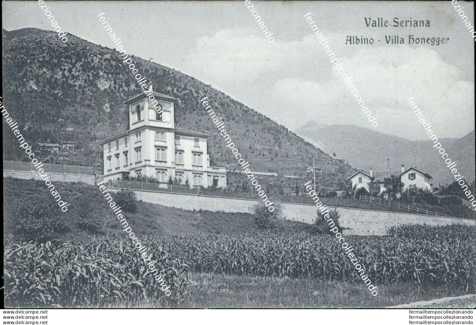 Bs376 Cartolina Valle Seriana Albino Villa Domegge Bergamo Lombardia - Bergamo