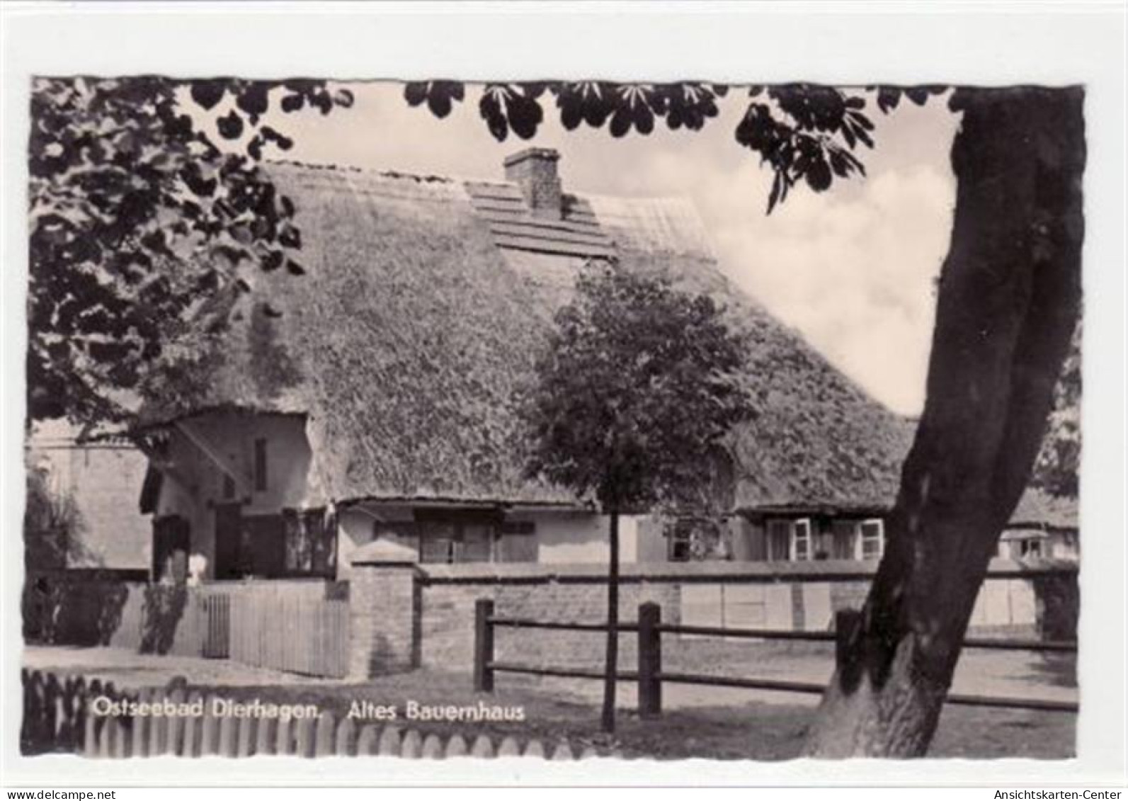 39005808 - Ostseebad Dierhagen Mit Alten Bauernhaus Ungelaufen  Duenne Stelle Rueckseite, Sonst Gut Erhalten. - Andere & Zonder Classificatie