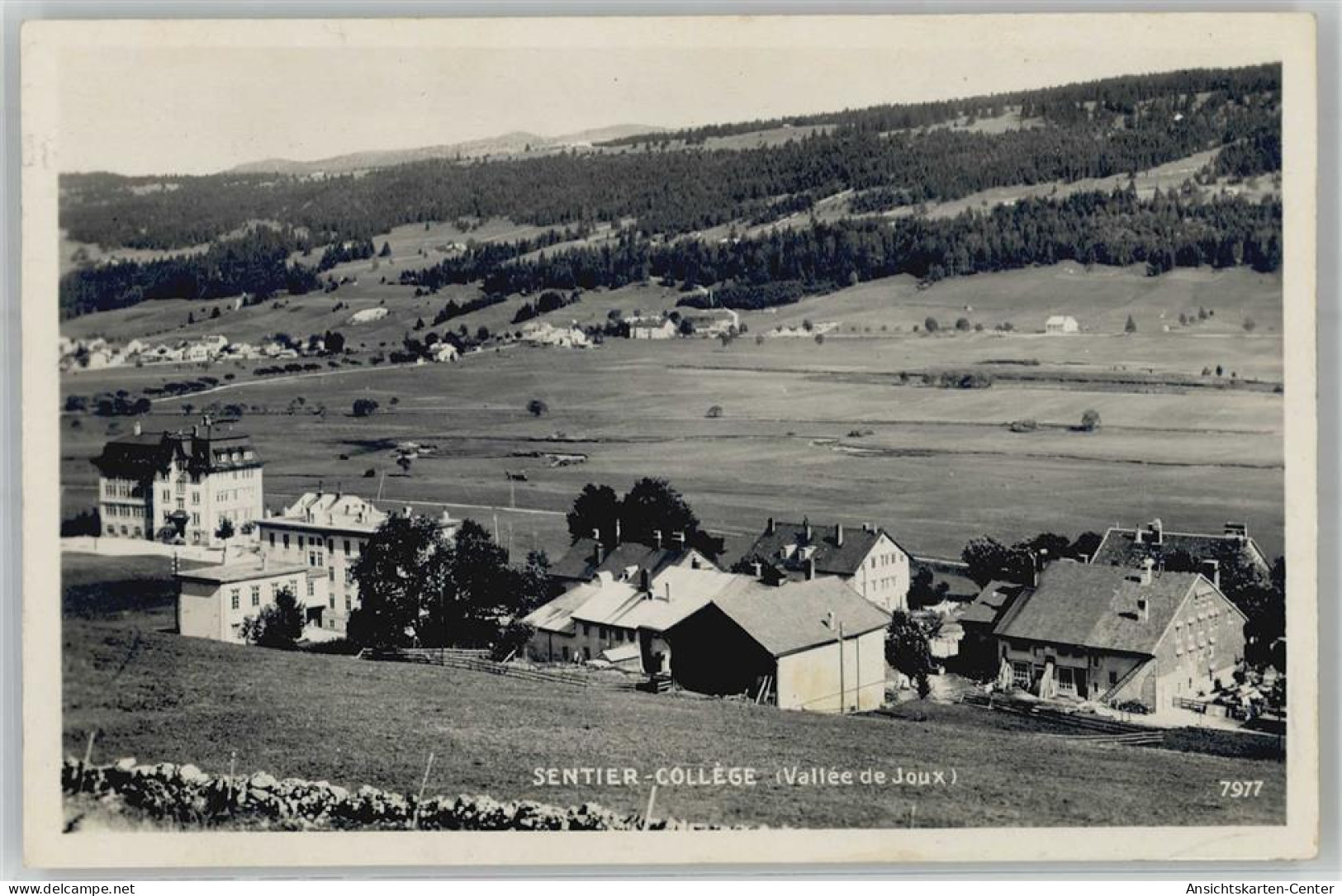 51421608 - Vallée De Joux - Autres & Non Classés