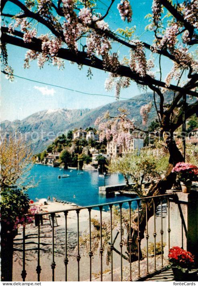 13814927 Ascona Lago Maggiore TI Collina S Michele  - Sonstige & Ohne Zuordnung