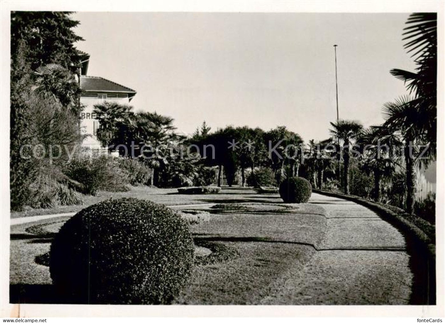 13802789 Brissago Lago Maggiore TI Kurhaus Brenscino SEV Gartenpartie  - Autres & Non Classés