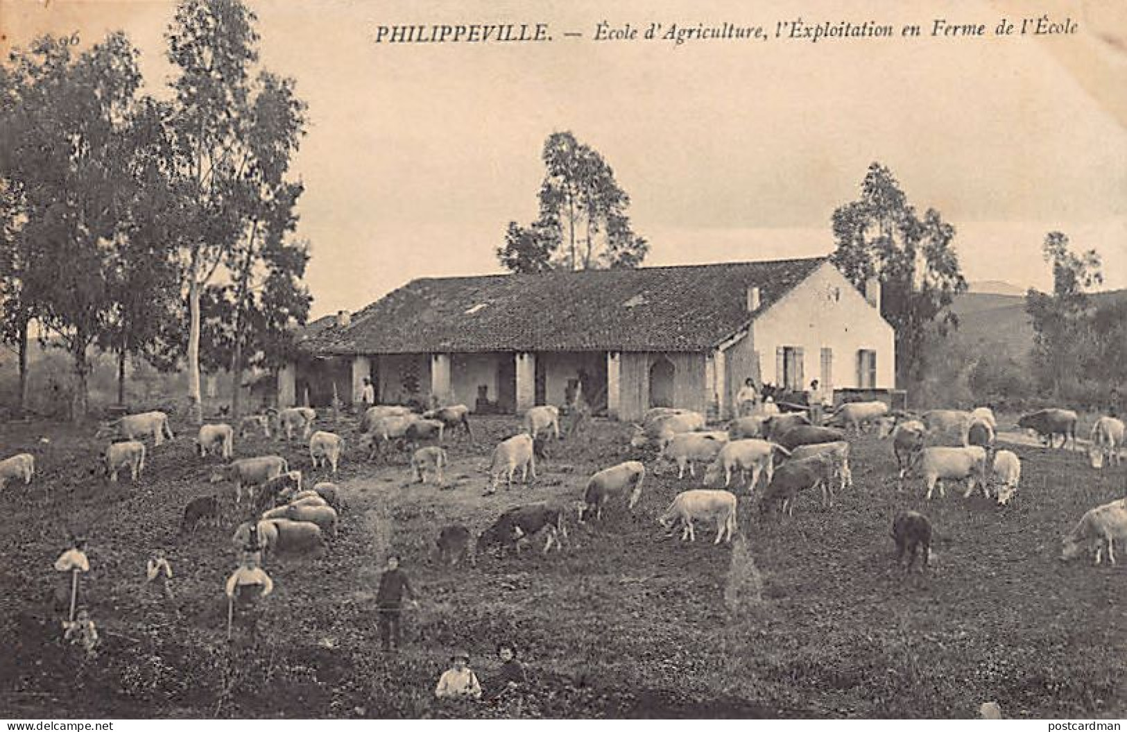 PHILIPPEVILLE Skikda - Ecole D'Agriculture, L'exploitation En Ferme De L'école - Skikda (Philippeville)