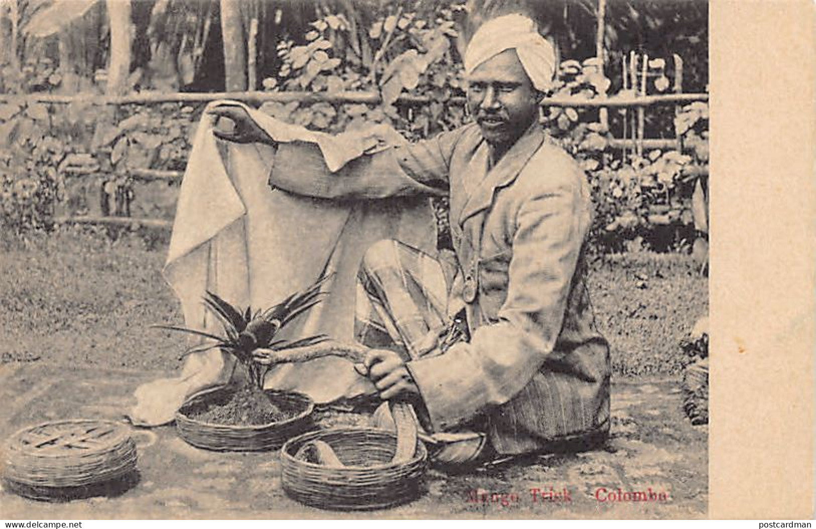 Sri Lanka - COLOMBO - Mango Trick - Publ. Skeen-Photo  - Sri Lanka (Ceylon)