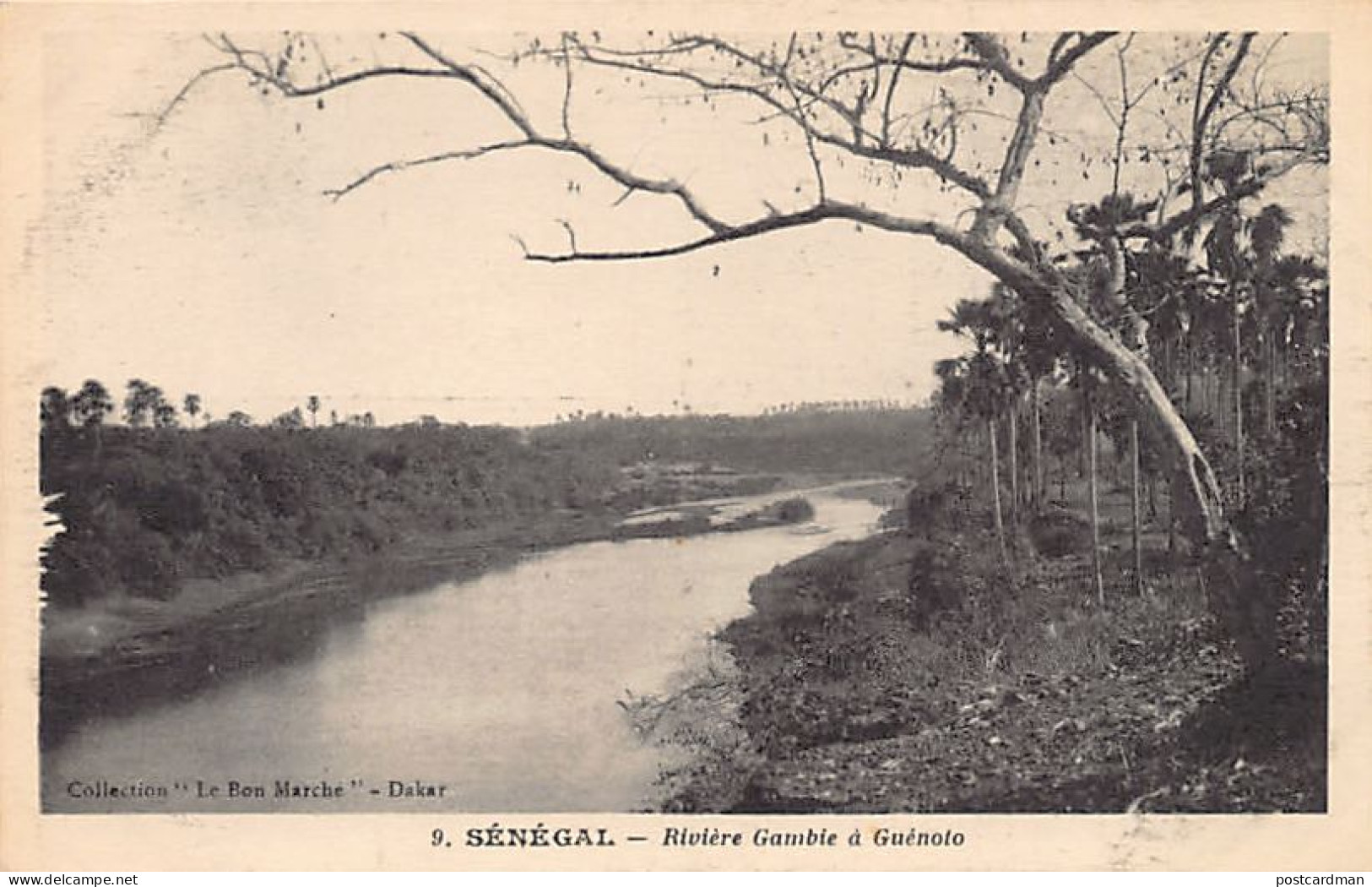SÉNÉGAL - Rivière Gambie à Guénoto - Ed. Le Bon Marché 9 - Sénégal