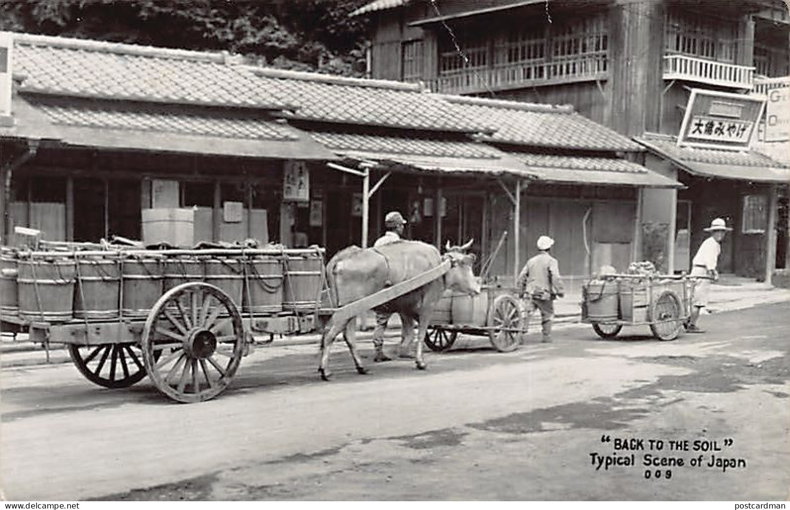 JAPAN - Back To The Soil - Typical Scene Of Japan - REAL PHOTO - Andere & Zonder Classificatie