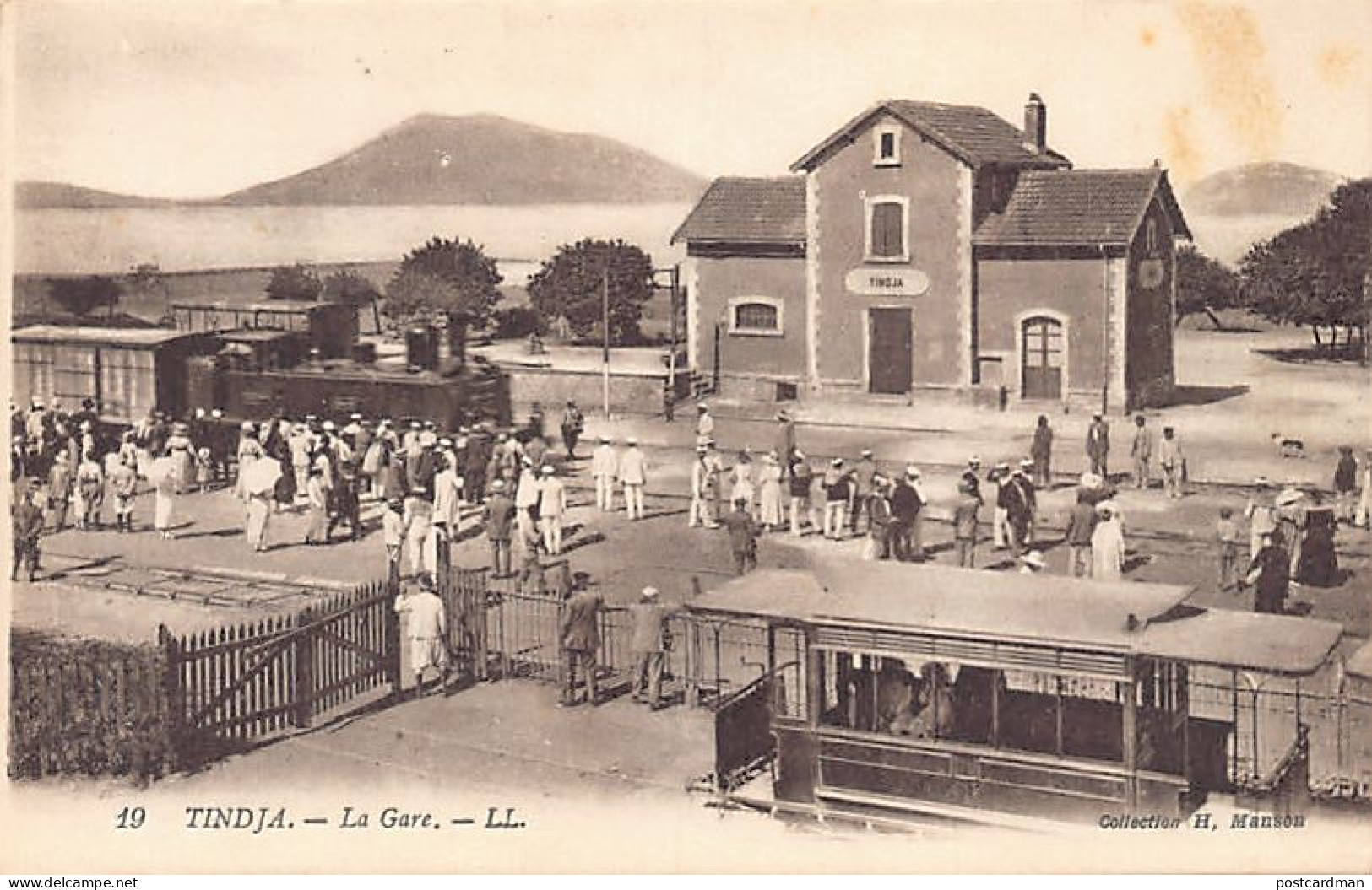 Tunisie - TINDJA - La Gare - Ed. LL Lévy 19 - Tunisie