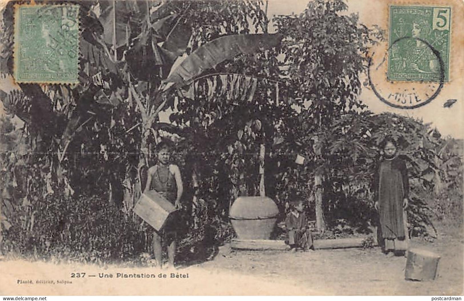 Viet-Nam - Un Plantation De Bétel - Ed. Planté 237 - Viêt-Nam