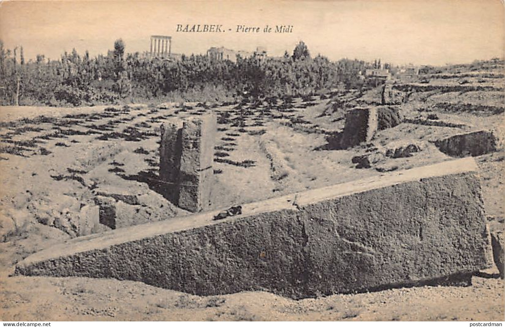 Liban - BAALBEK - Pierre De Midi - Ed. André Terzis & Fils  - Líbano