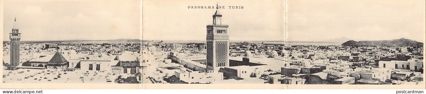 Panorama De TUNIS - Carte à 3 Volets - Ed. Inconnu  - Tunesië