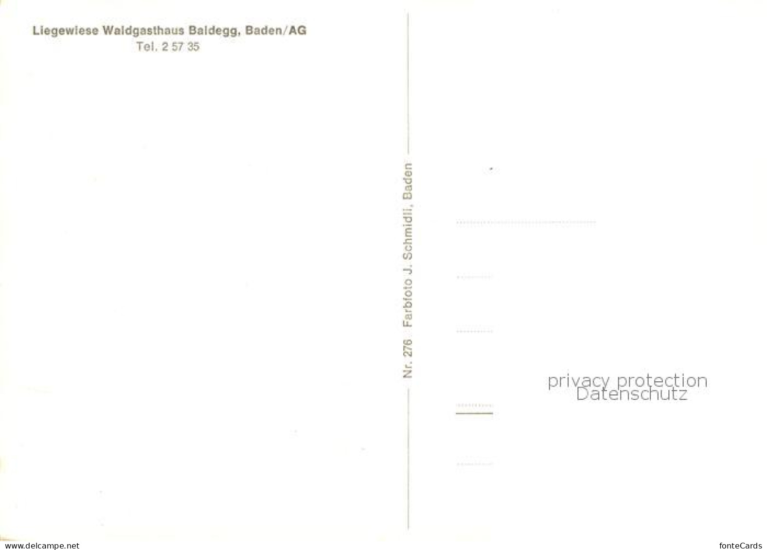 13801799 Baden  AG Liegewiese Waldgasthaus Baldegg  - Sonstige & Ohne Zuordnung