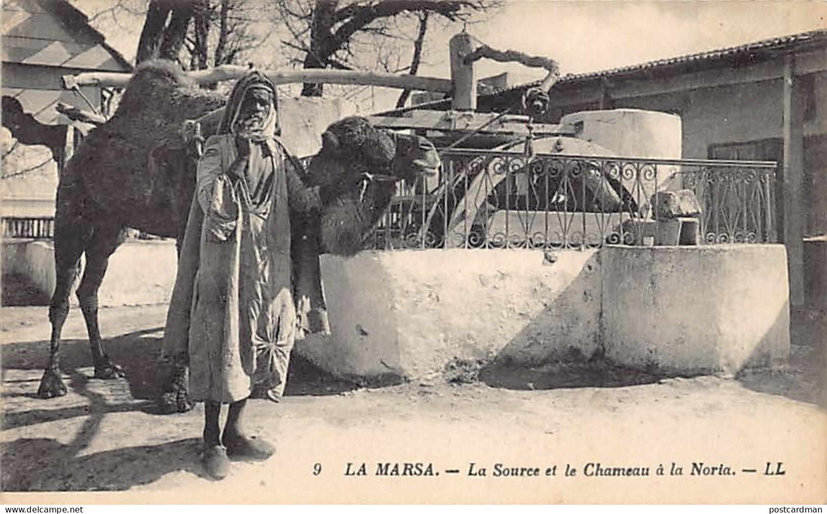 Tunisie - LA MARSA - La Source Et Le Chameau à La Noria - Ed. LL 9 - Tunisie