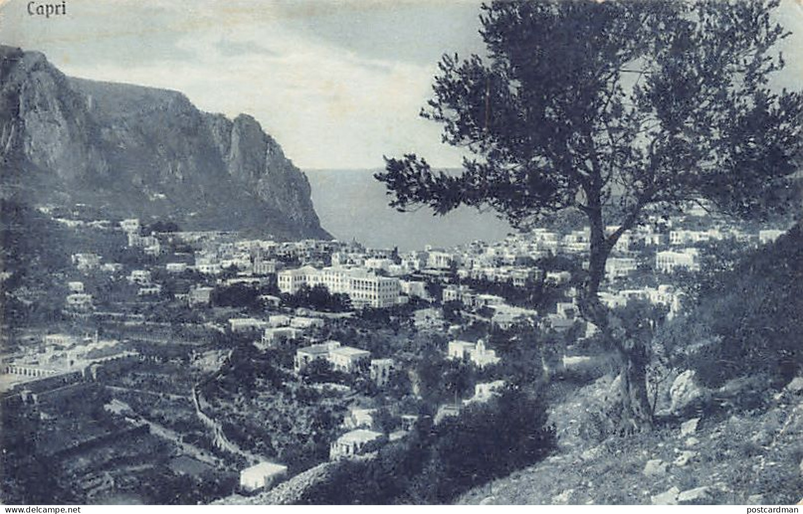 CAPRI (NA) Panorama - Other & Unclassified
