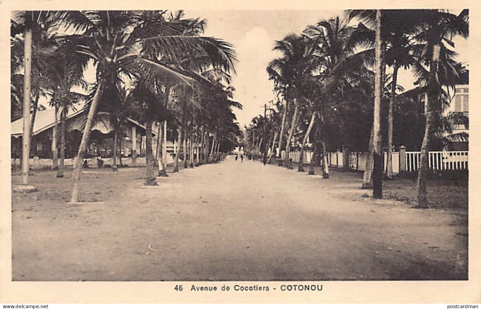 Bénin - COTONOU - Avenue De Cocotiers - Ed. Ets Valla & Richard 45 - Benin