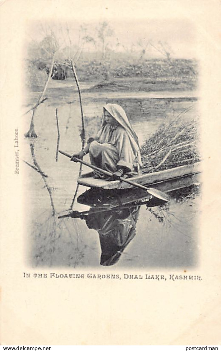 India - KASHMIR - Woman In The Floating Gardens, Dhal Lake - Indien