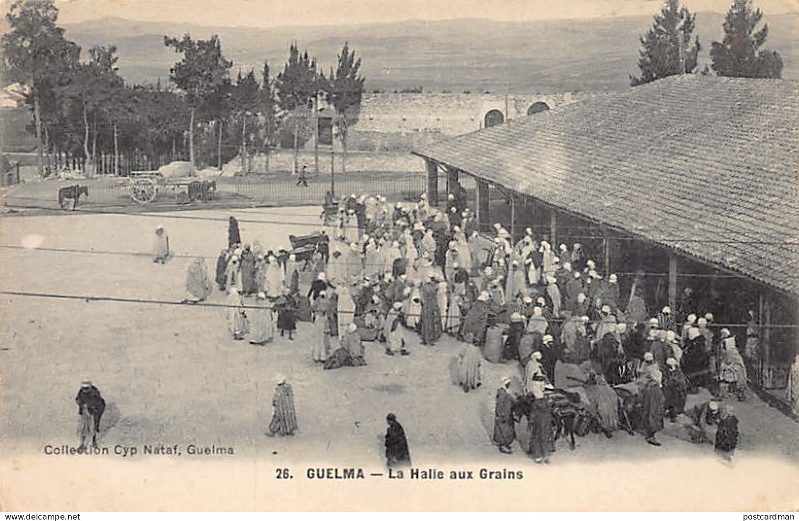 Algérie - GUELMA - La Halle Aux Grains - Ed. Cyprien Nataf 26 - Guelma