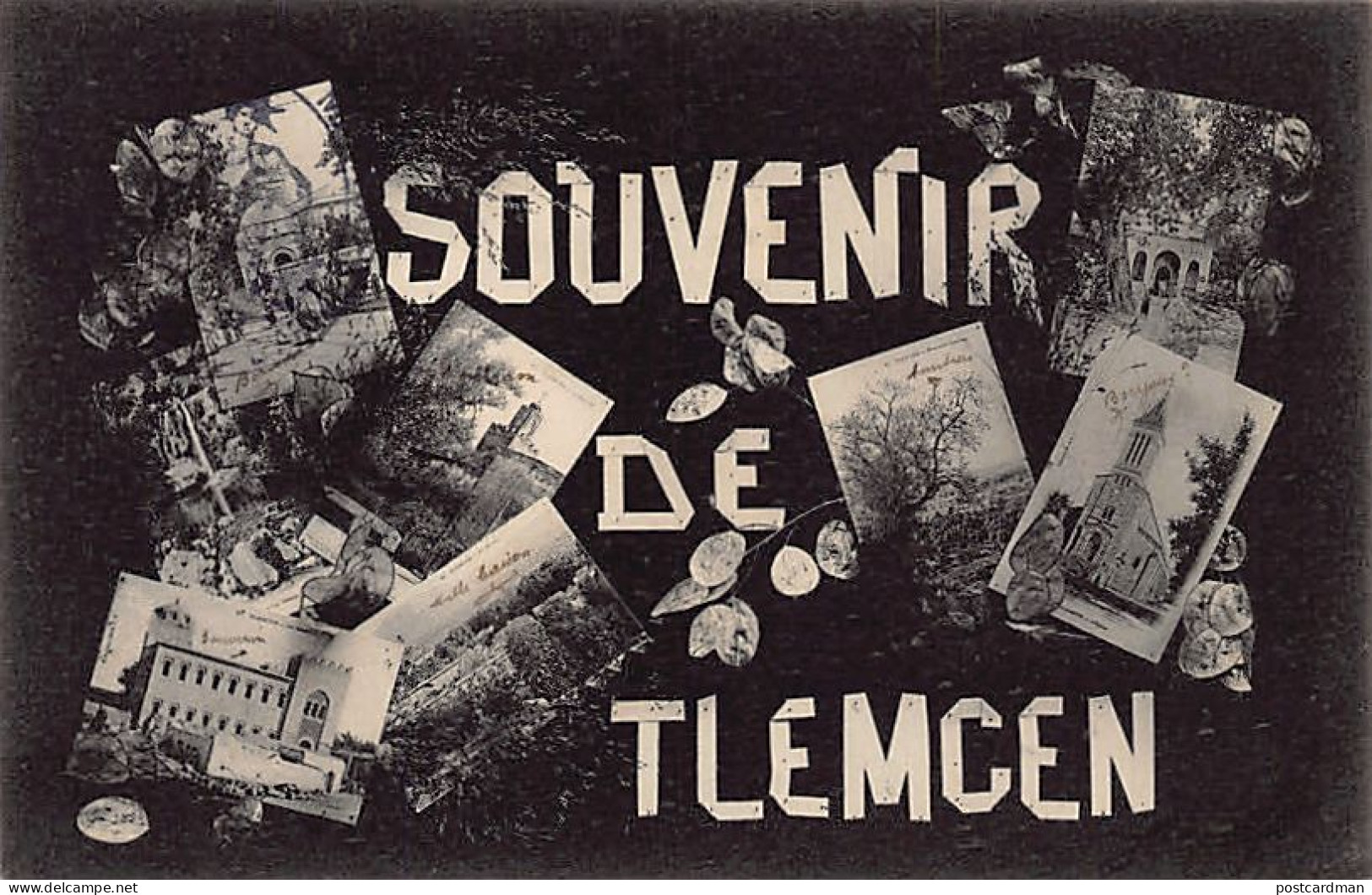 Algérie - TLEMCEN - Souvenir De... - Ed. Collection Idéale P.S.  - Tlemcen