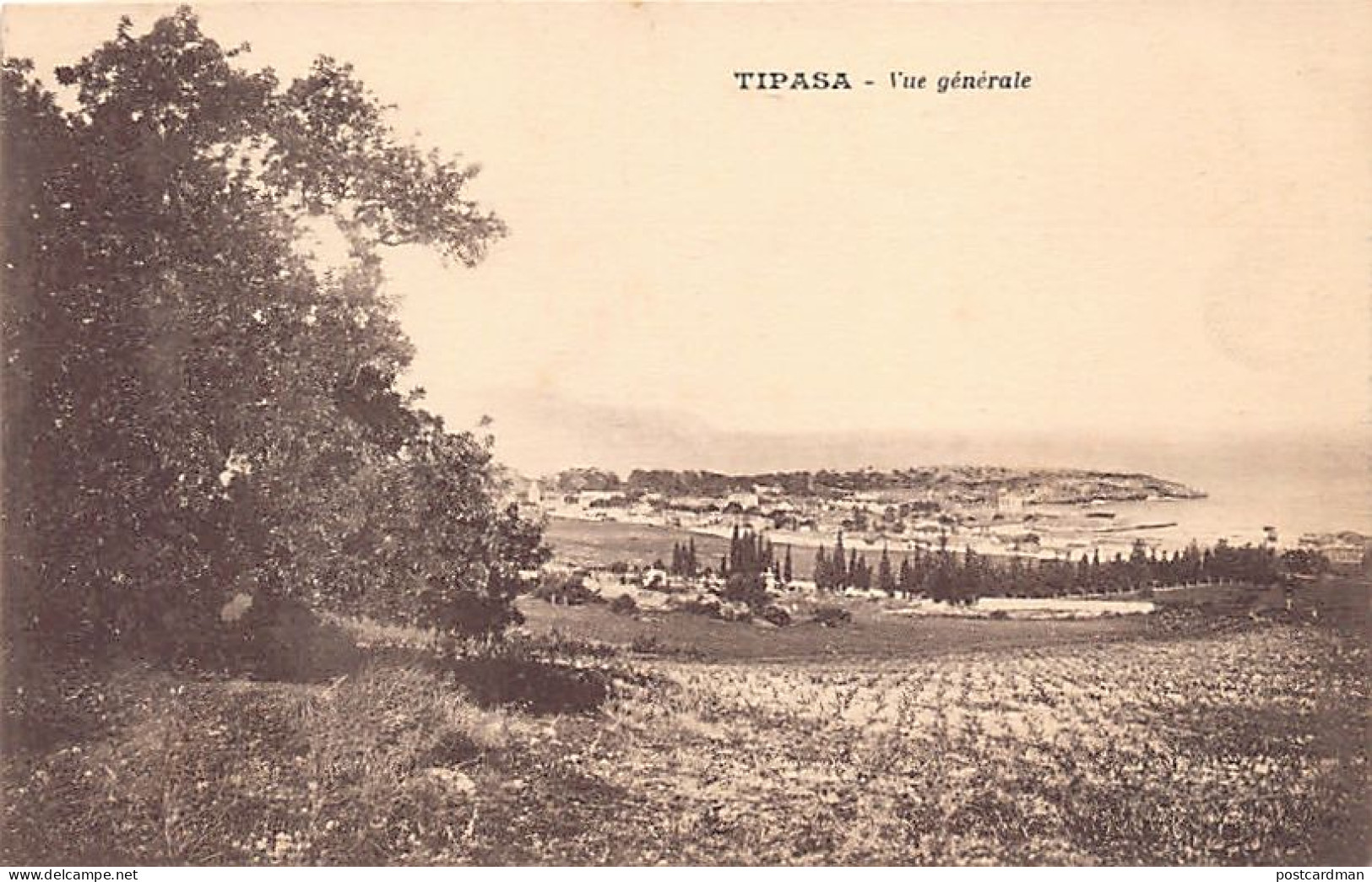 TIPASA Tipaza - Vue Générale - Ed. Hôtel Du Rivage  - Otros & Sin Clasificación