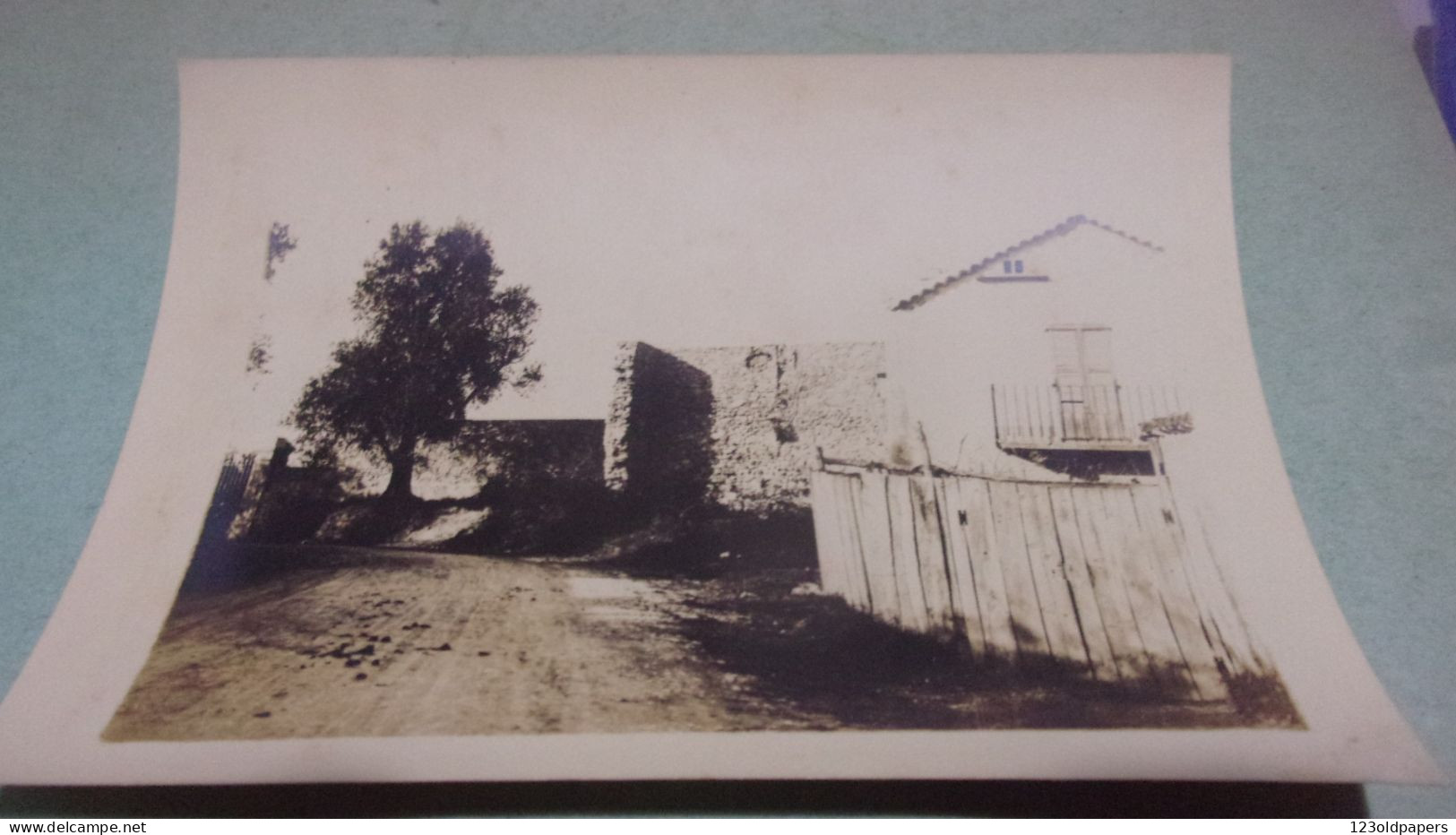 06 BELLE PHOTO DE CANNES 1899 LEGENDEE  FEVRIER SUR LA ROUTE DU PETIT JUAS  // RIOU QUARTIER - Cannes