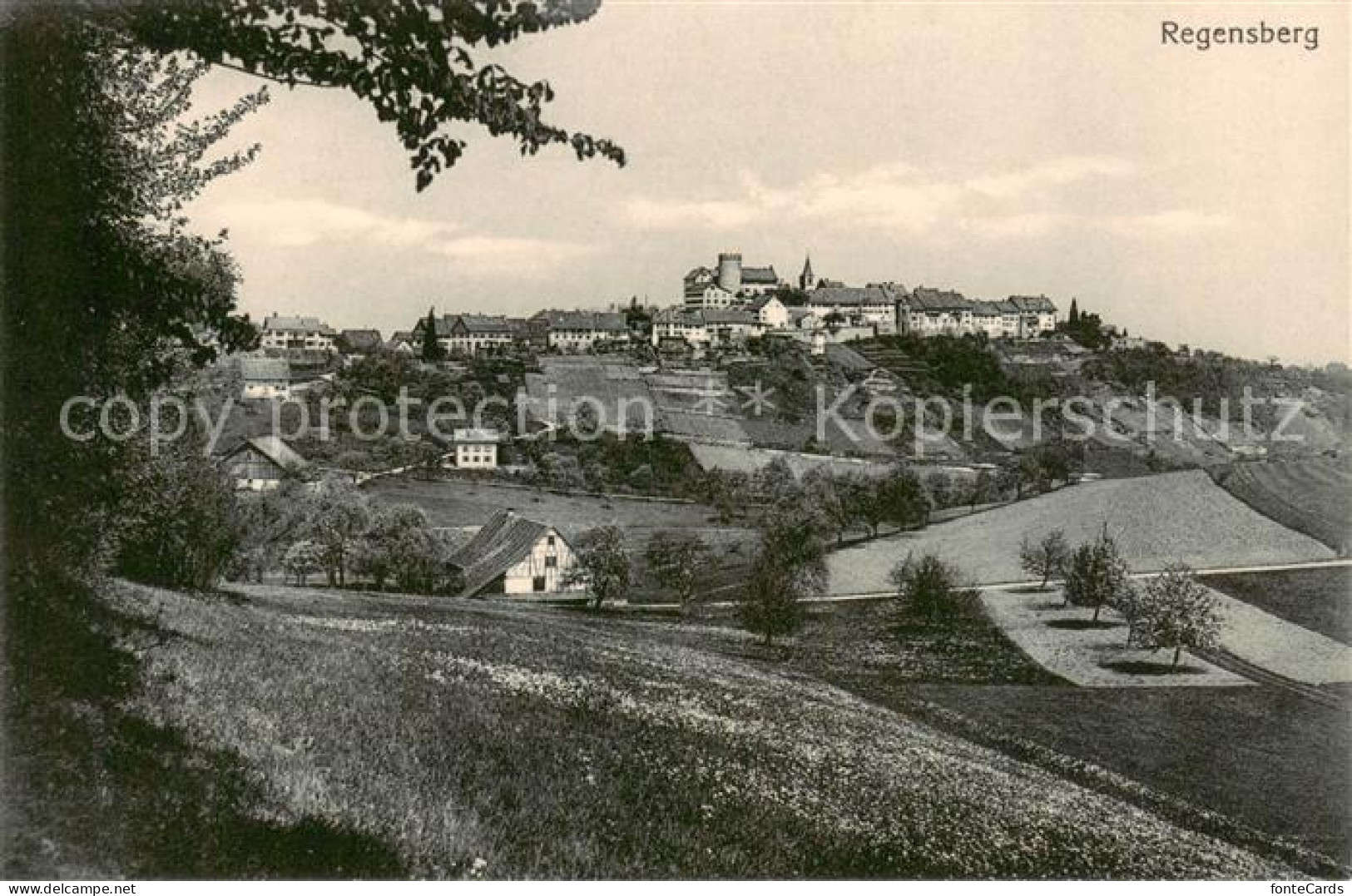 13799367 Regensberg Dielsdorf ZH Panorama  - Sonstige & Ohne Zuordnung