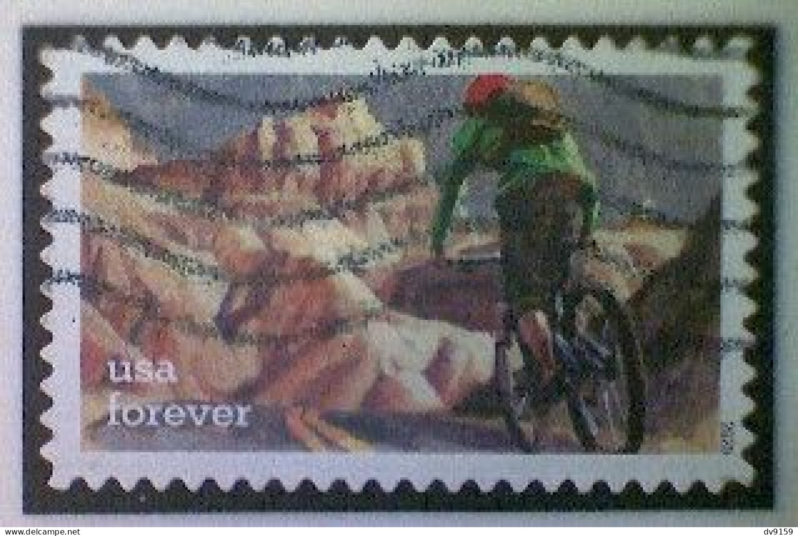 United States, Scott #5478, Used(o), 2020, Great Outdoors: Bicyclist, (55¢), Multicolored - Gebraucht