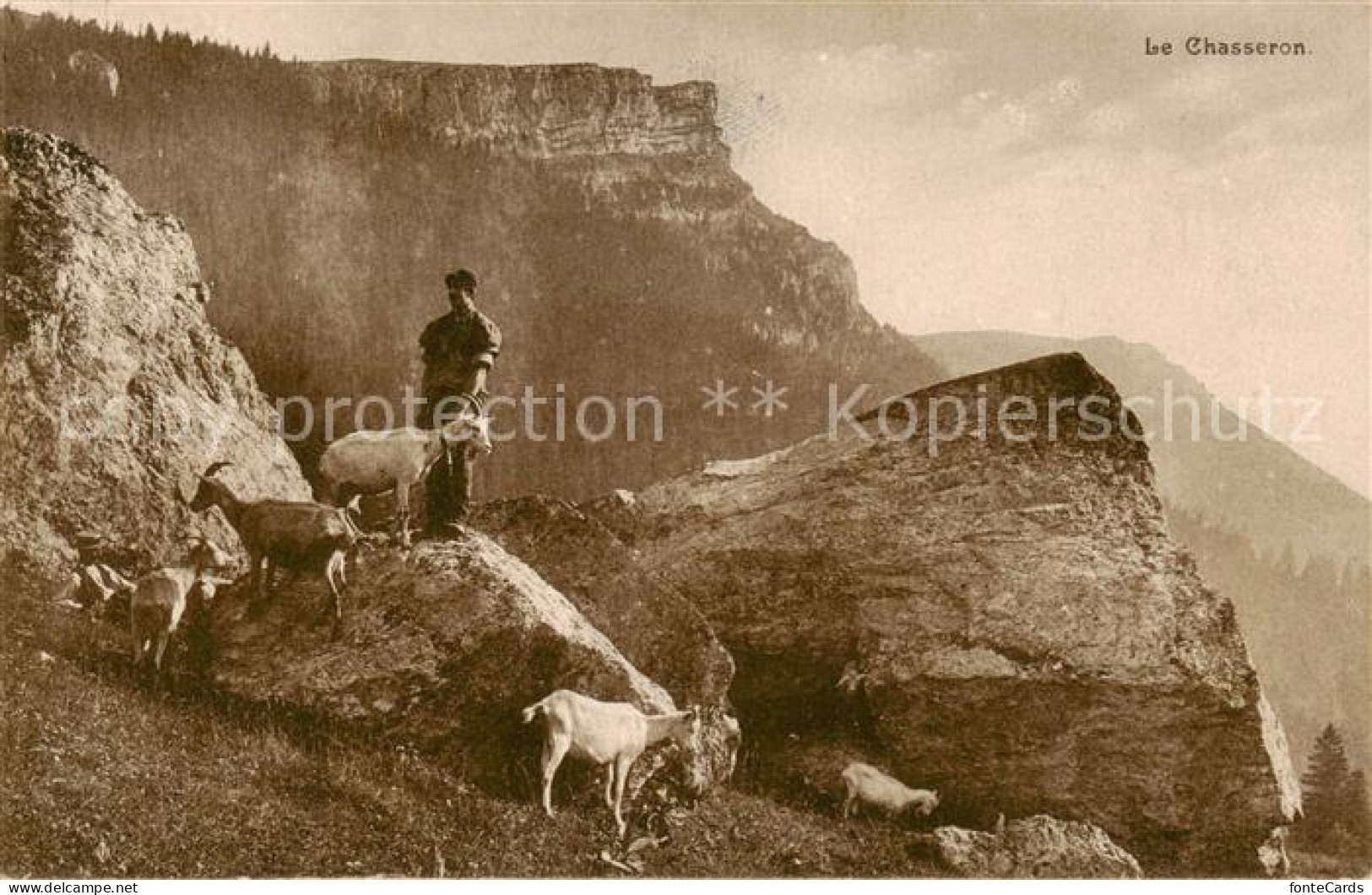 13797249 Le Chasseron VD Panorama Ziegenhirte  - Andere & Zonder Classificatie