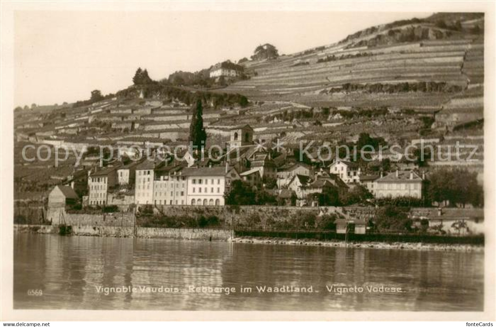 13796337 Vevey VD Vignoble Vaudois Rebberge Im Waadtland Genfersee Vevey VD - Other & Unclassified