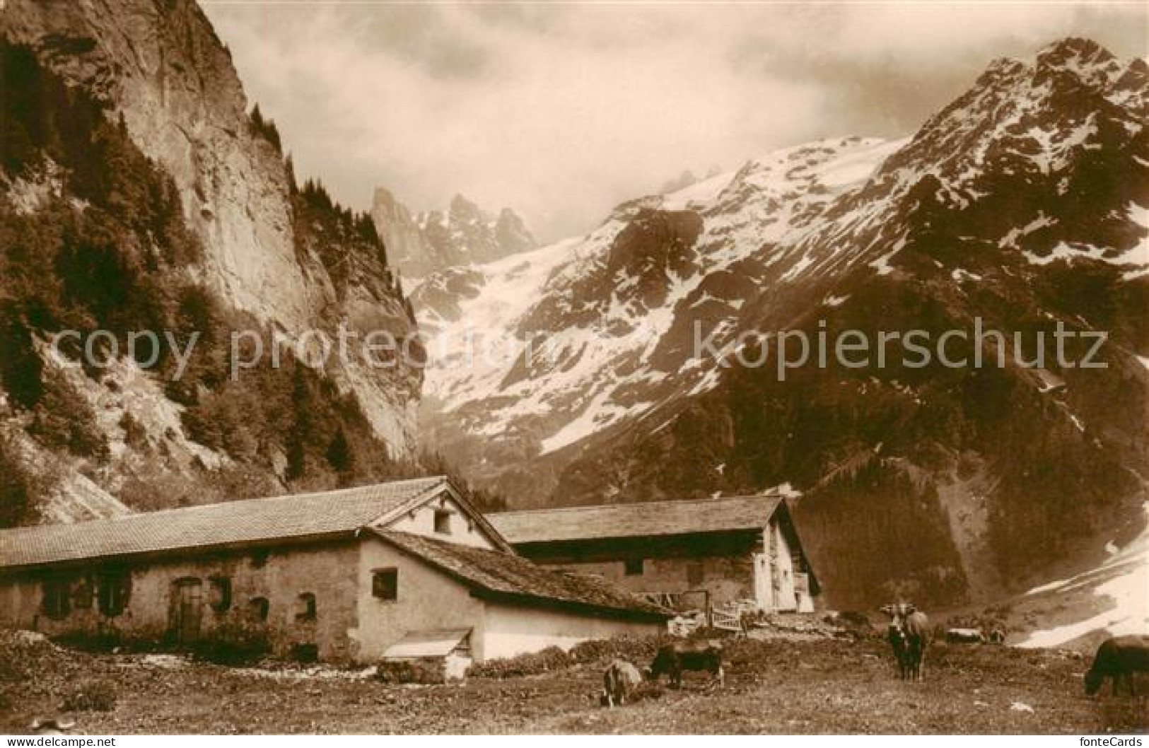 13795007 Engelberg  OW Herrenrueti M. Spannoerter  - Andere & Zonder Classificatie