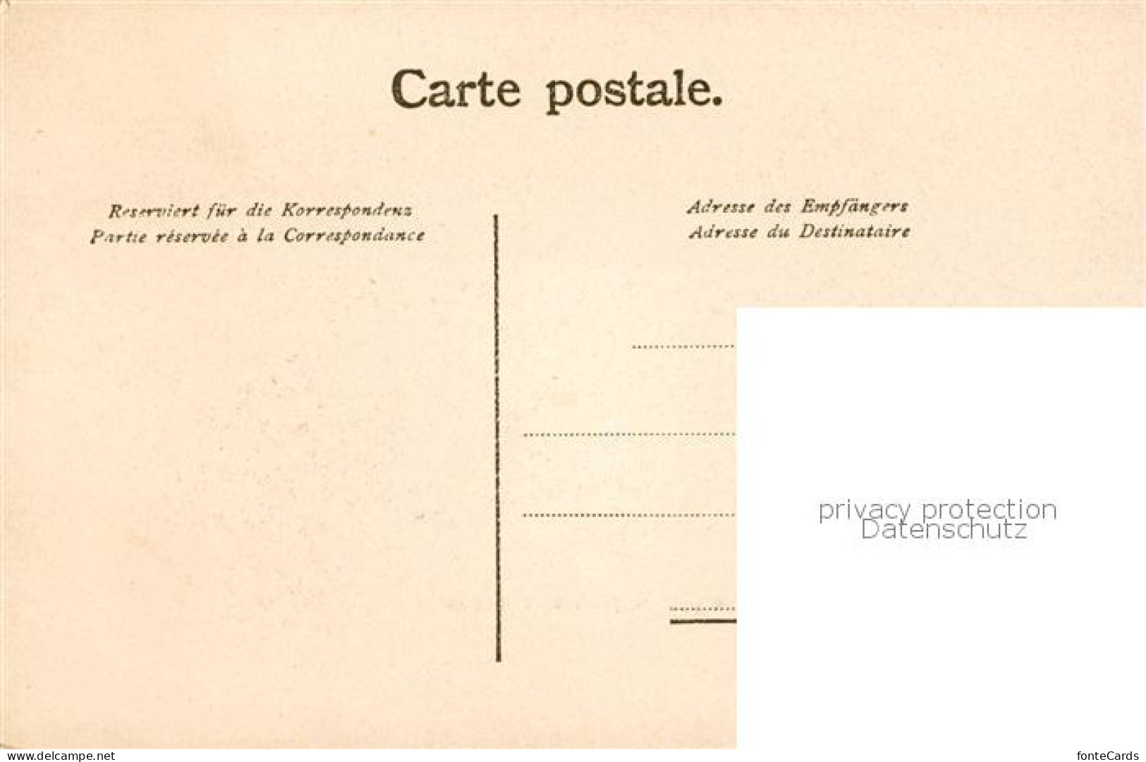 13828387 Signal De Naye 2045m VD Gipfelblick  - Andere & Zonder Classificatie