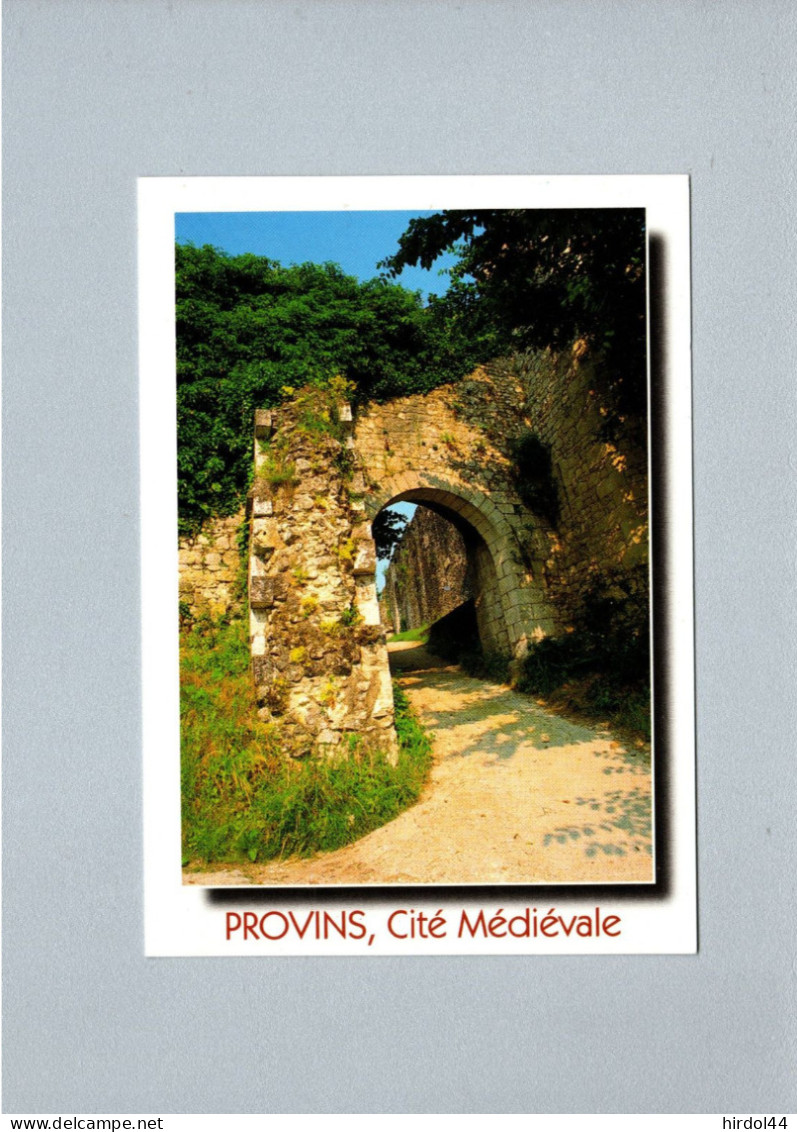Provins (77) : Les Remparts, Aux Environs De La Porte De Jouy - Provins