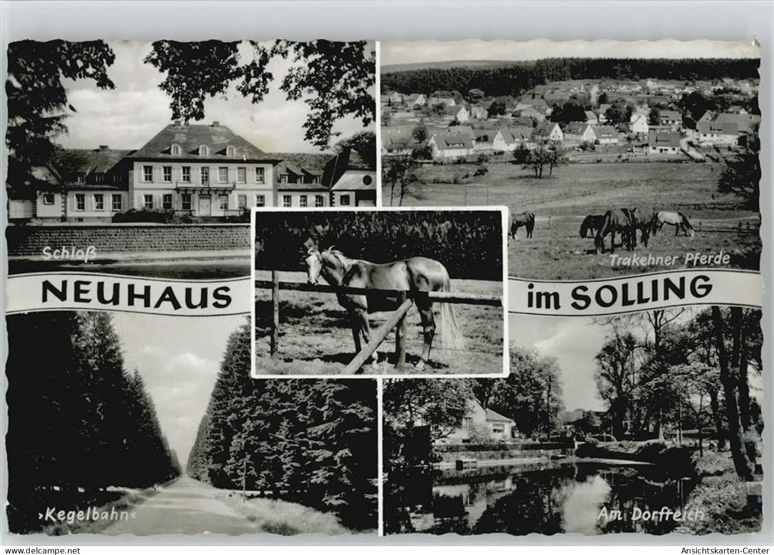10024508 - Neuhaus Im Solling - Holzminden