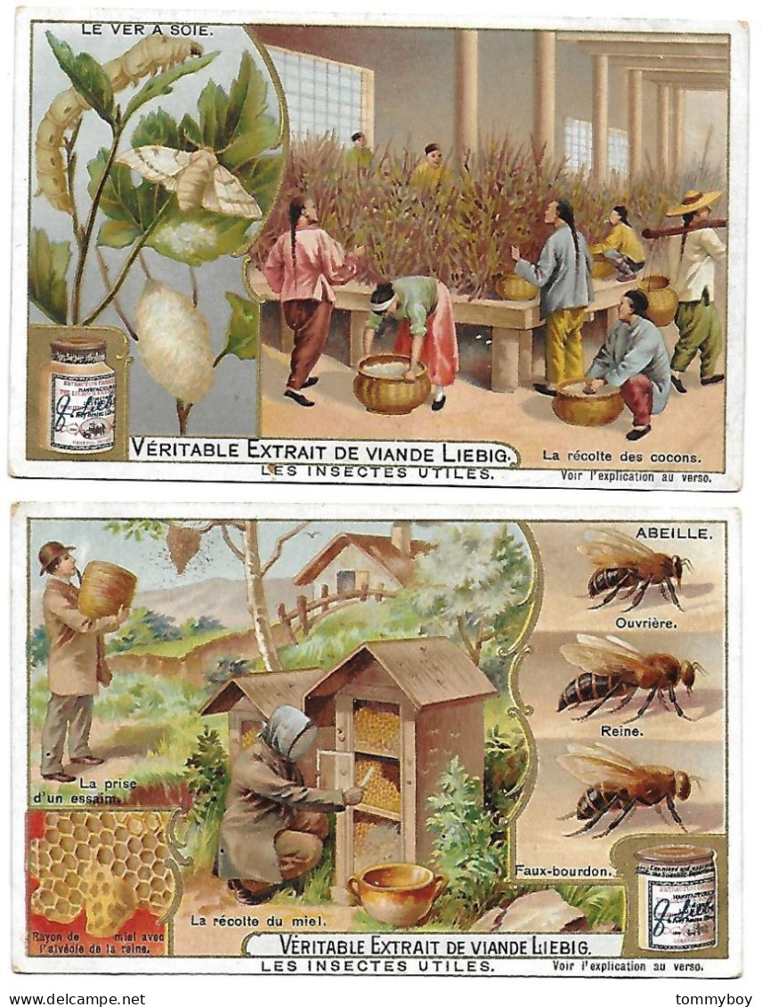 S 736, Liebig 6 Cards, Les Insectes Utiles (small Damage) (ref B18) - Liebig