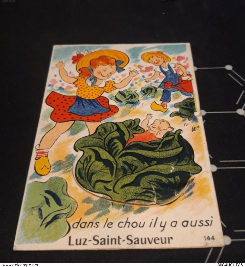 Carte Postale  A Système   " Dans Le Chou Il Y A Aussi "   LUZ SAINT SAUVEUR - Luz Saint Sauveur