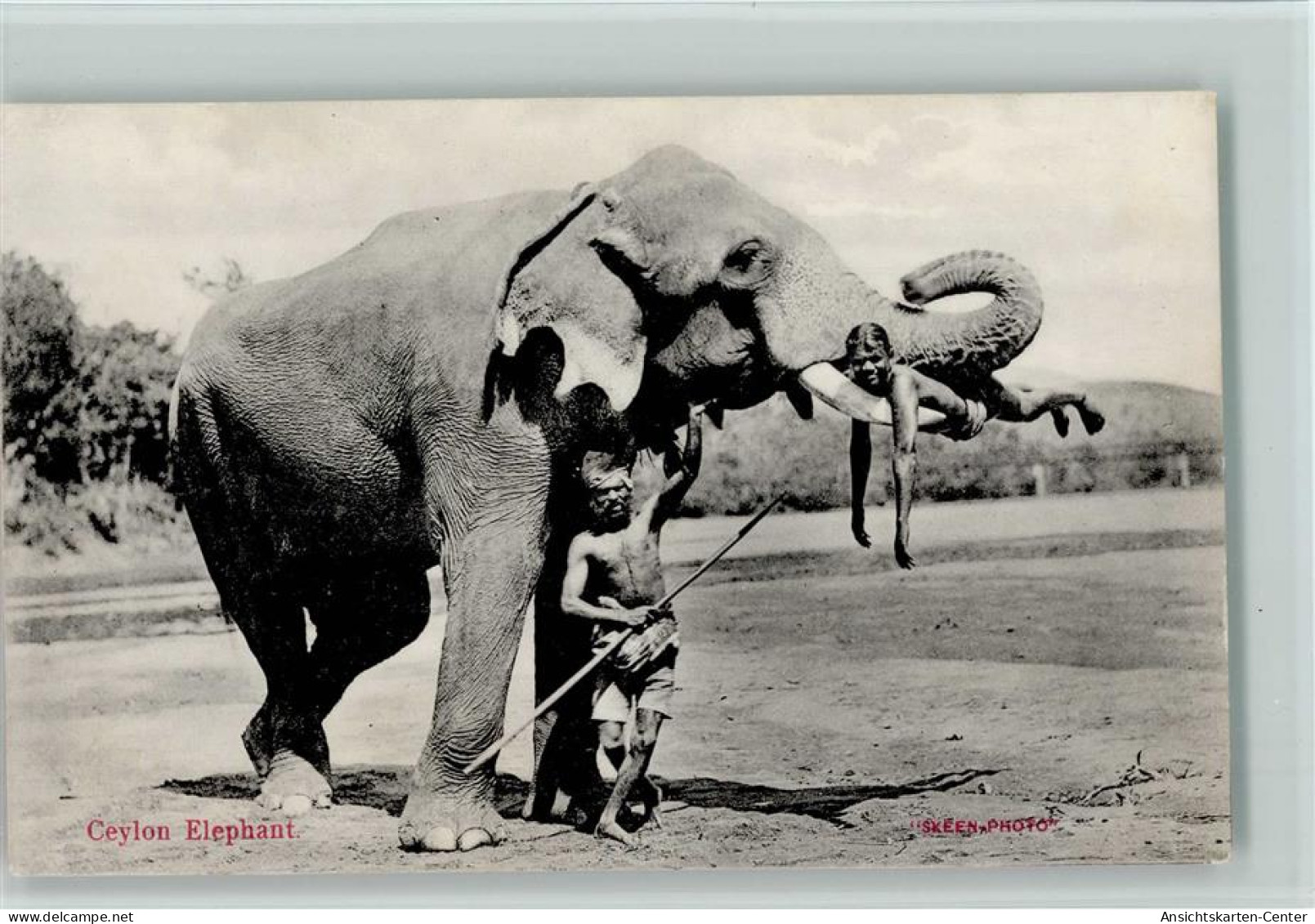 13026008 - Elefanten Ceylon Elefant  Mit Seinem - Elephants