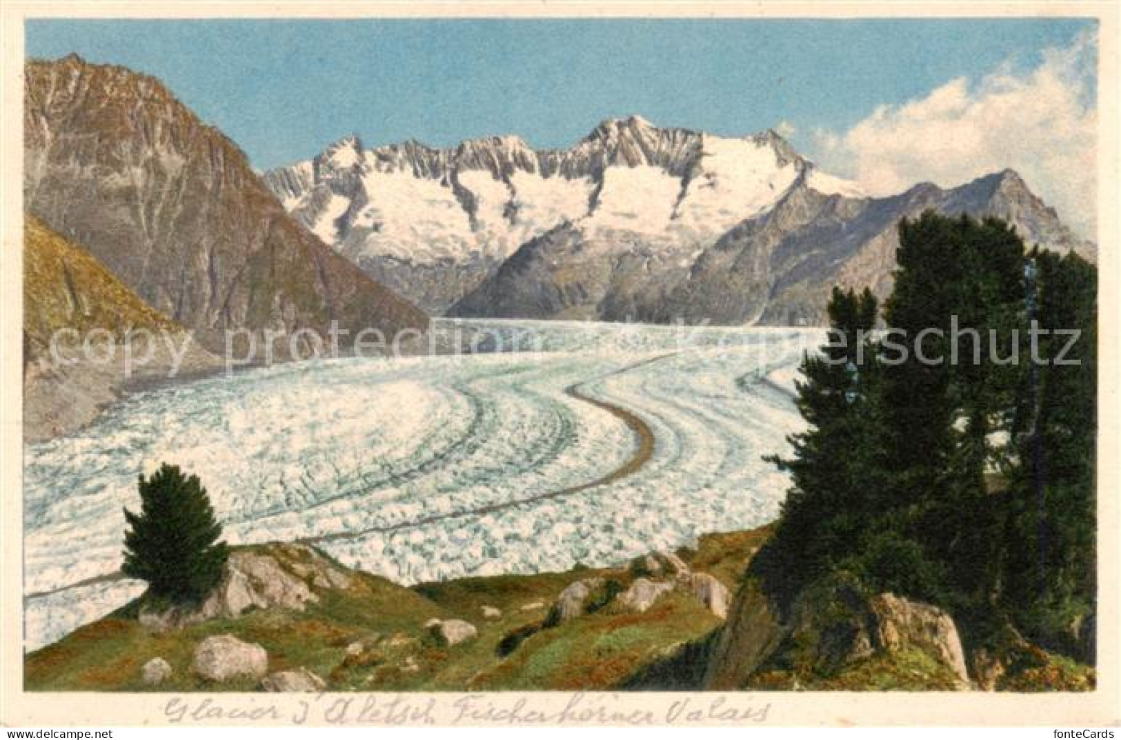 13823207 Aletschgletscher VS Panorama Blick Vom Aletschwald Walliser Fiescherhoe - Altri & Non Classificati