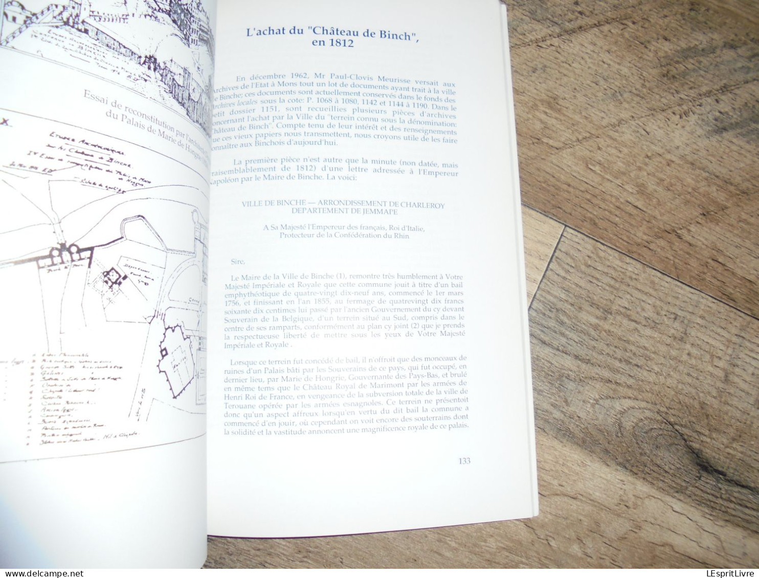 LES CAHIERS BINCHOIS N° 14 Régionalisme Hainaut Binche Recolles Couvent Gerre 14 18 Château Emeutes Industrie Eglise