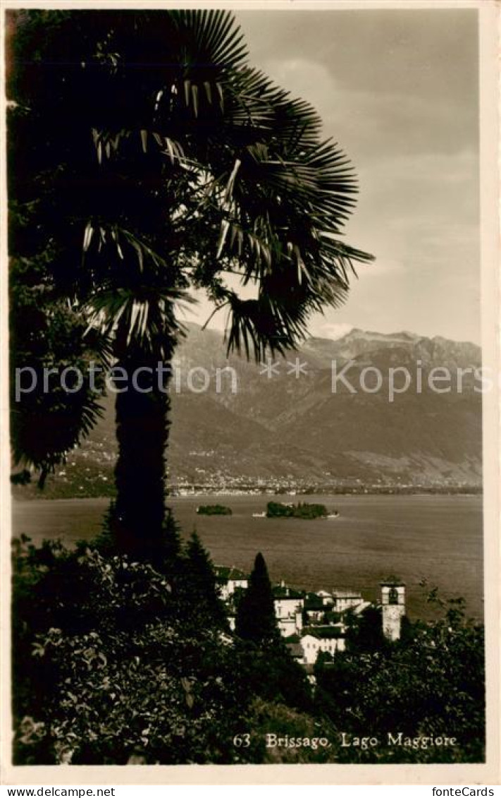 13822937 Brissago Lago Maggiore TI Panorama  - Andere & Zonder Classificatie