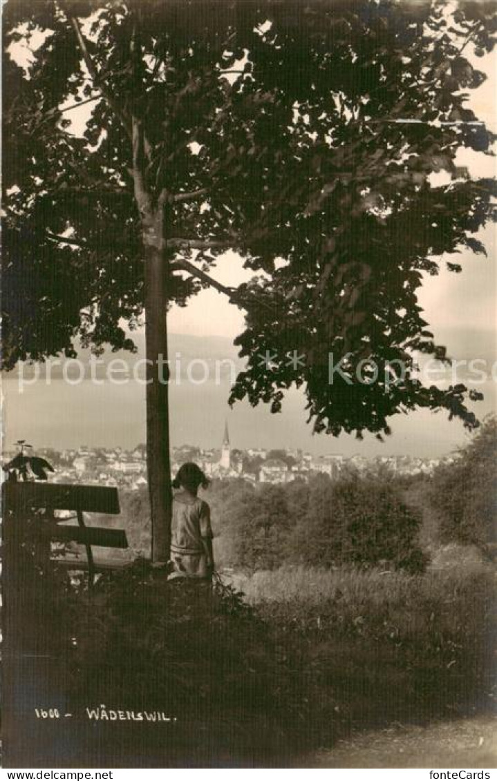 13822619 Waedenswil Waedensweil ZH Panorama  - Autres & Non Classés