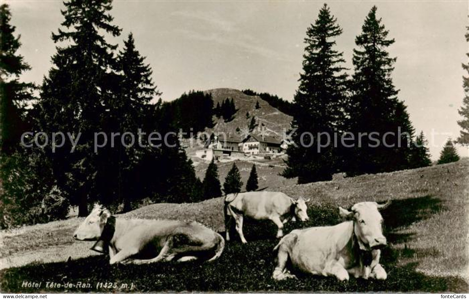 13816267 Tete-de-Ran 1422m NE Hotel Tete De Ran  - Autres & Non Classés