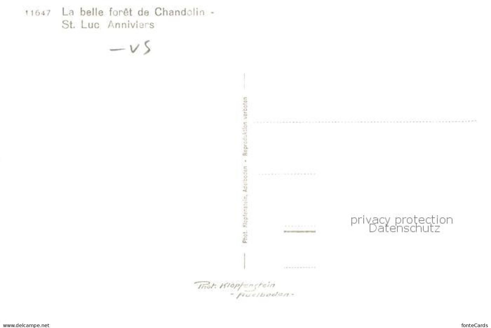 13816139 St Luc VS Anniviers La Belle Foret De Chandolin  - Autres & Non Classés