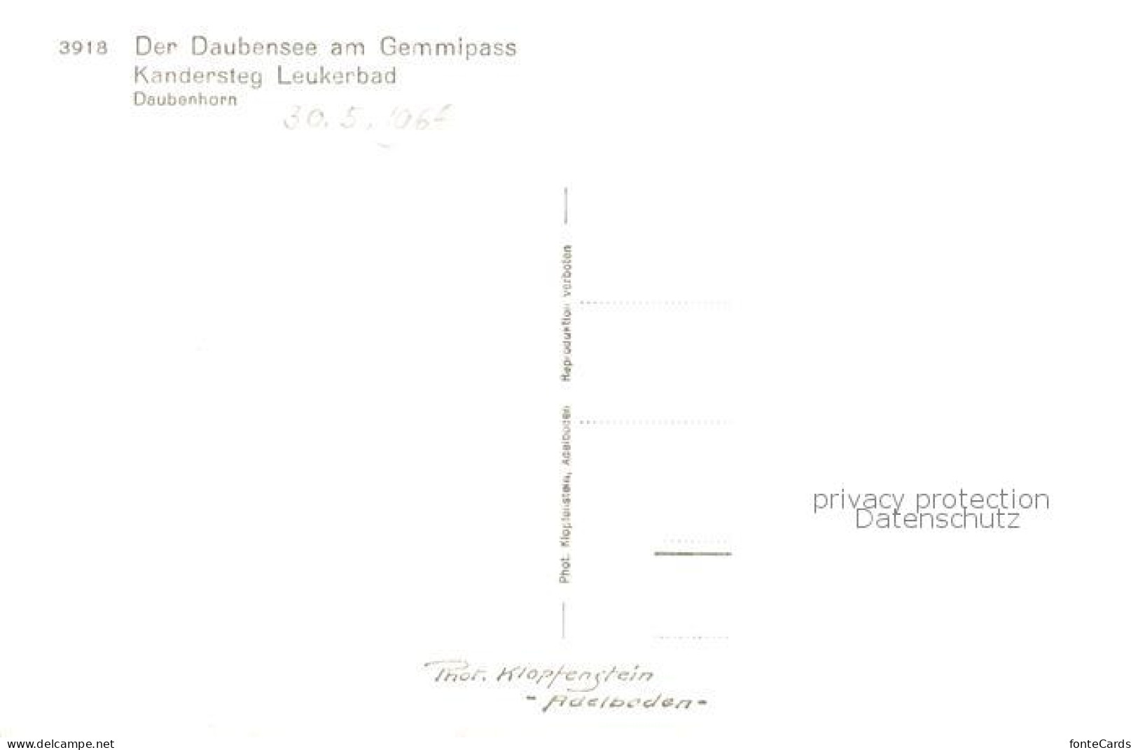 13816127 Daubensee Gemmipass VS Kandersteg Leukerbad Daubenhorn Schafherde  - Other & Unclassified