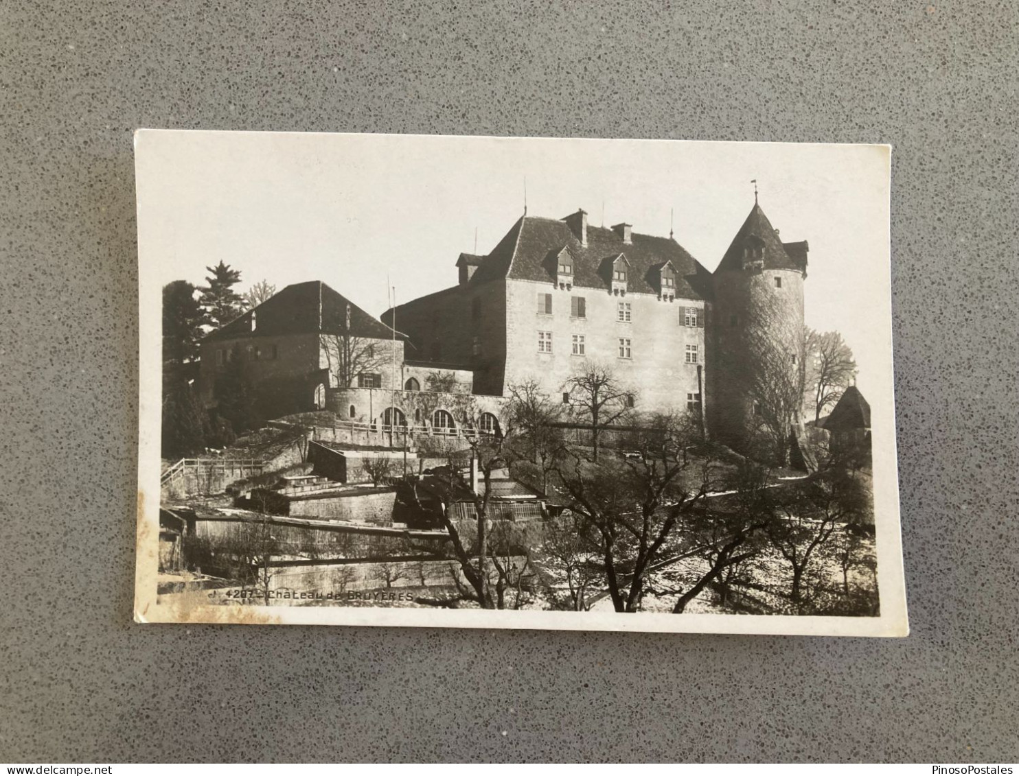 Chateau De Bruyeres Carte Postale Postcard - Other & Unclassified