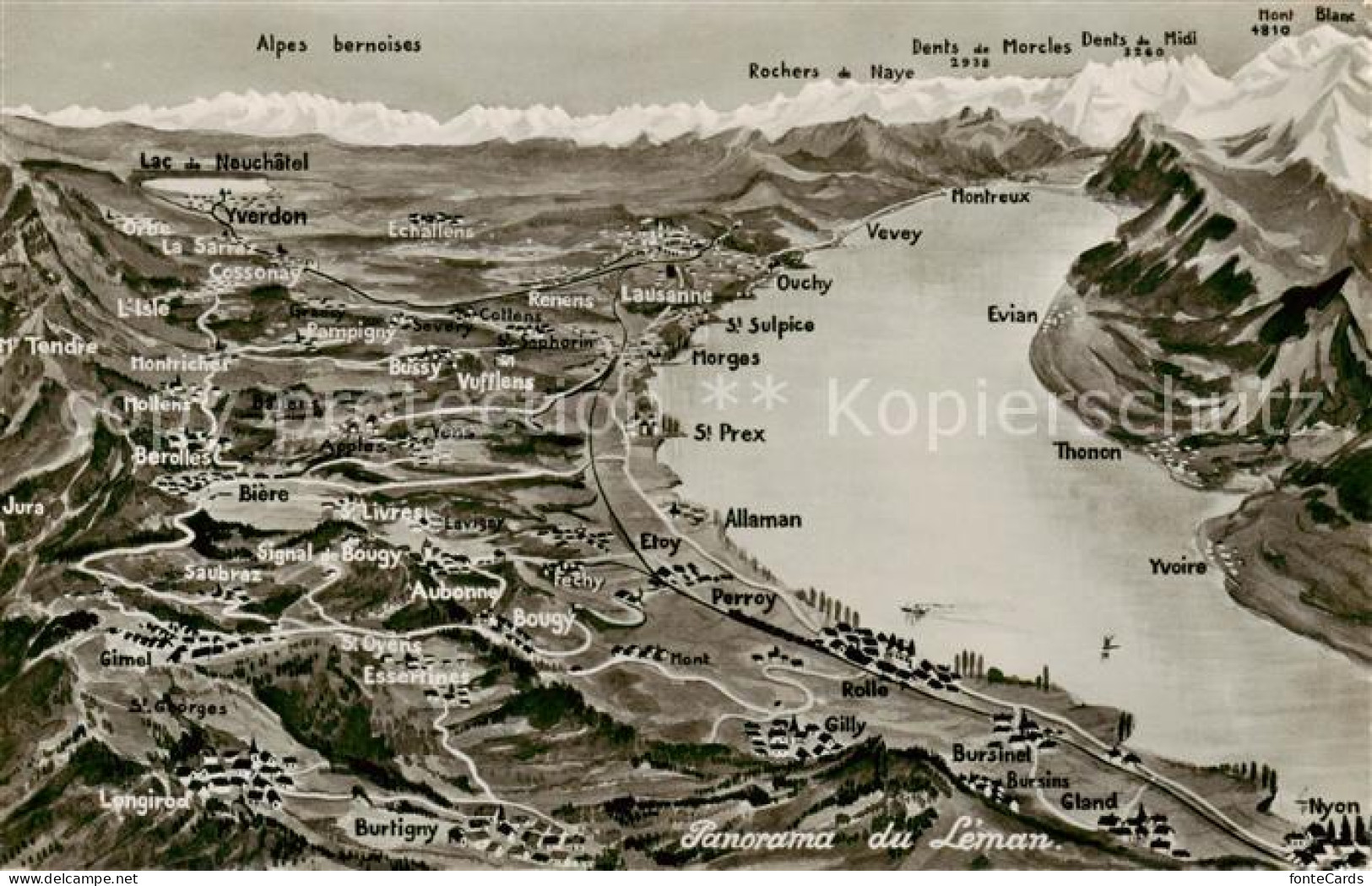 13794797 Lac Leman Genfersee GE Panorama Alpes Bernoises  - Altri & Non Classificati