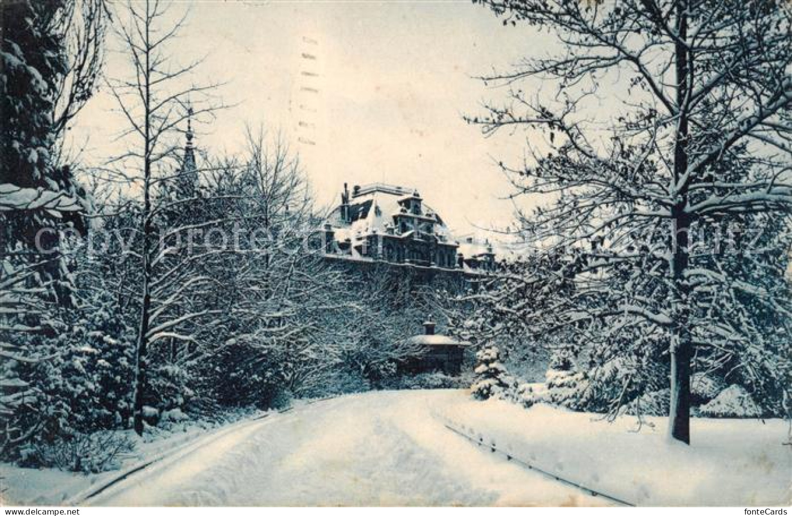 13792929 Zuerich ZH Partie Im Schnee Zuerich ZH - Sonstige & Ohne Zuordnung