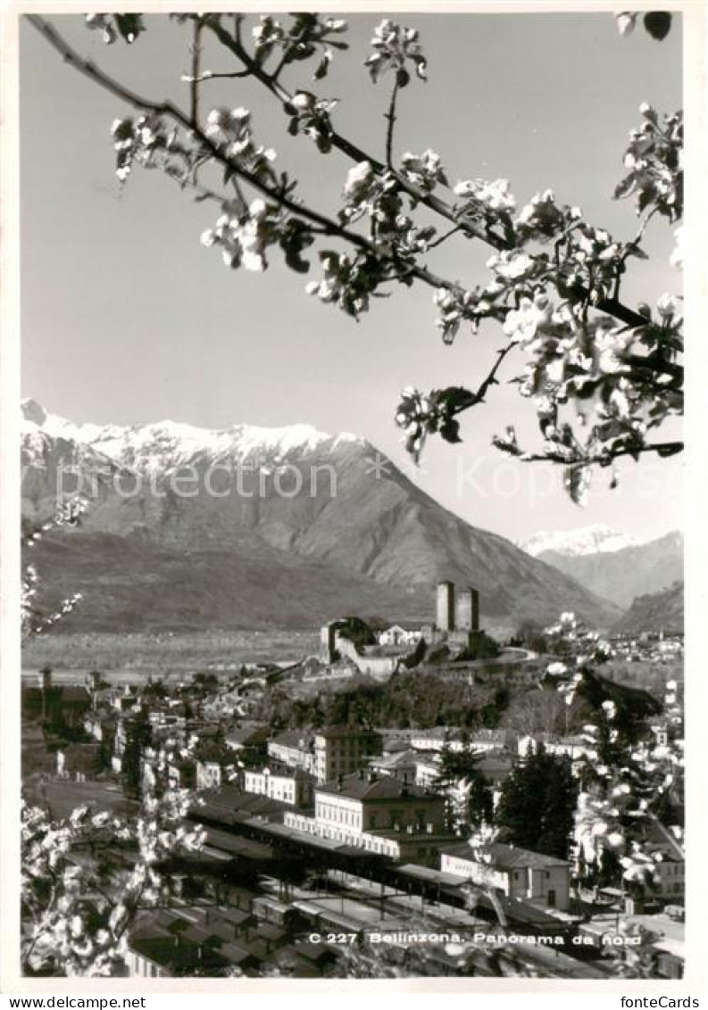 13792819 Bellinzona Panorama Da Nord Bellinzona - Other & Unclassified