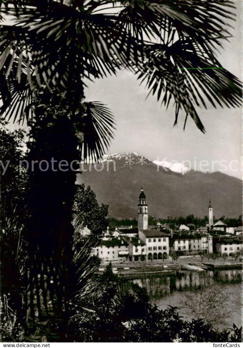 13792817 Ascona Lago Maggiore TI Panorama  - Autres & Non Classés