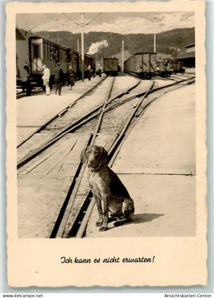 39166408 - Hund Wartet  Auf Dem Bahnhof Verlag Gunkel Nr. 2945 - Hunde